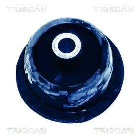 Supporto assale 90 250 986 TRISCAN 850024822 OPEL, VAUXHALL