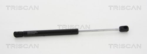 capot-moteur Triscan 8710 38104 Vérin 