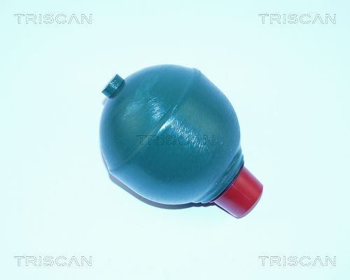 TRISCAN  8760 38302 Accumulatore pressione, Sospensione / Ammortizzazione