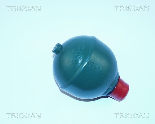TRISCAN  8760 38303 Accumulatore pressione, Sospensione / Ammortizzazione