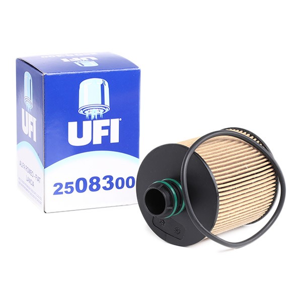 Filtro olio UFI 25.083.00 conoscenze specialistiche