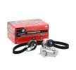 Skoda Chain GATES Water pump and timing belt kit T43025