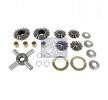OEM Kit riparazione, Differenziale DT Spare Parts 491200