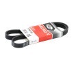GATES K015PK1148 für FIAT 500 2011 günstig online
