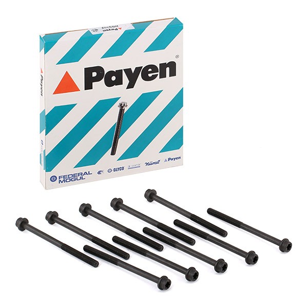 PAYEN Jeu De Vis De Culasse HBS369 Jeu de boulons de culasse de cylindre VOLVO,JAGUAR,FORD,V50 MW,C3