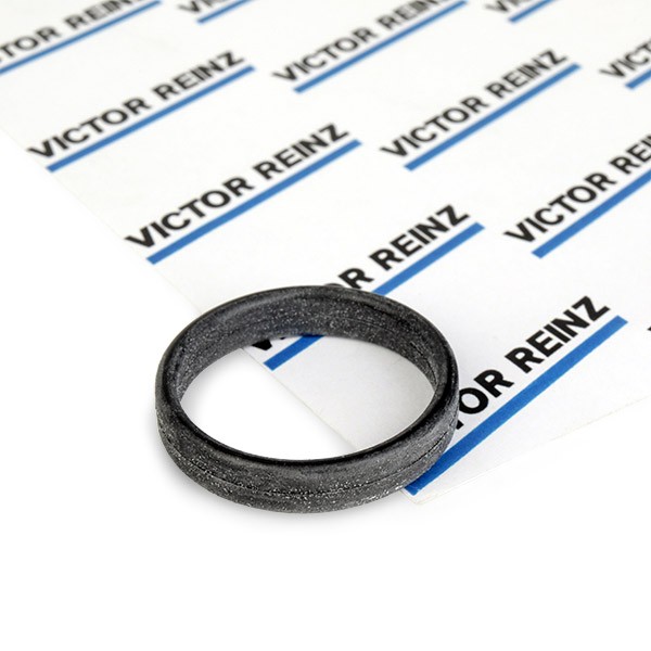 REINZ Joint Collecteur d'Admission 71-31647-00 Joint d'Étanchéité De Collecteurs d'Admission,Joint d'étanchéité, collecteur d'admission MERCEDES-BENZ