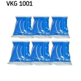 SKF VKG1001
