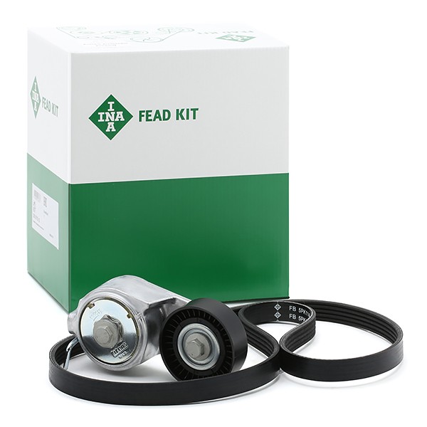 INA Jeu De Courroie Trapézoïdale à Nervures 529 0013 10 Jeu de courroies trapézoïdales à nervures FI