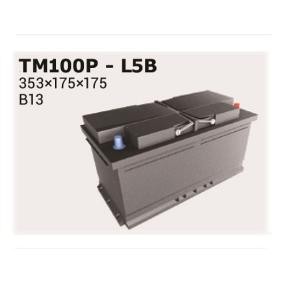 Batterie 1201308 IPSA TM100P VW, BMW, MERCEDES-BENZ, AUDI, OPEL