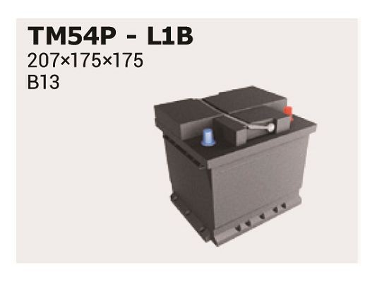 IPSA TM54P Batterie