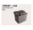 OEM Starterbatterie IPSA TM54P