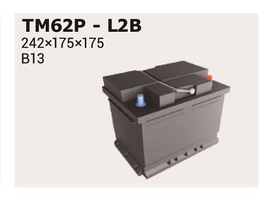TM62P IPSA 56059 Batterie 12V 62Ah 600A B13 LB2 Bleiakkumulator 56059,  55044 ❱❱❱ Preis und Erfahrungen