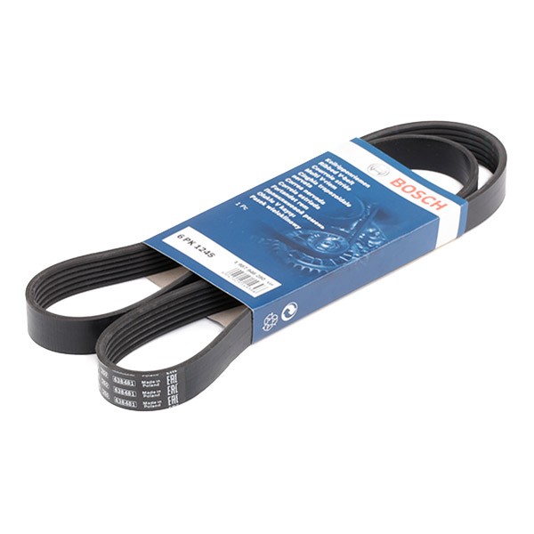 BOSCH Courroie Trapézoïdale à Nervures 1 987 946 280 FIAT,OPEL,FORD,SCUDO 270_,SCUDO Furgón 270_,SCU