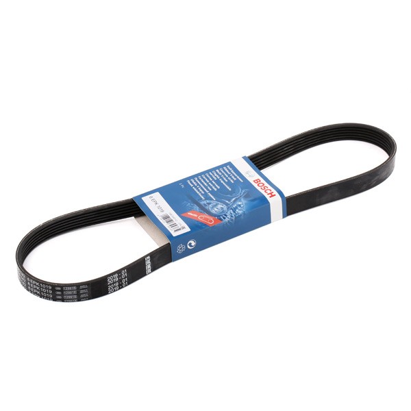 BOSCH Courroie Trapézoïdale à Nervures 1 987 946 142 FORD,FIESTA V JH_, JD_,FIESTA VI,FUSION JU_,B-M