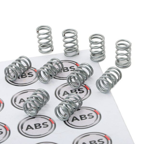 A.B.S. Ressort, mâchoire de frein 96189