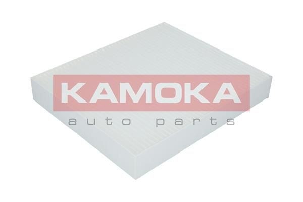 Filtro antipolen KAMOKA F412101 2238184461300