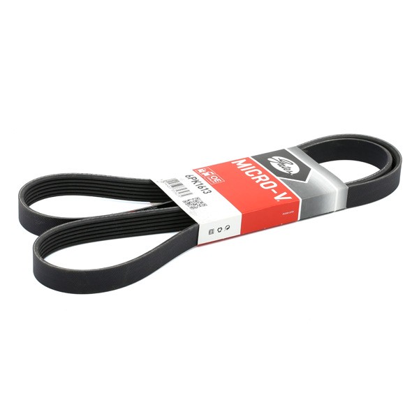 GATES Courroie Trapézoïdale à Nervures 6PK1613 VW,AUDI,OPEL,GOLF V 1K1,PASSAT 3C2,PASSAT Variant 3C5