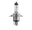 Koop PHILIPS LongLife EcoVision 12342LLECOS2 Dimlicht lamp 2020 voor Fiat Punto 199 online