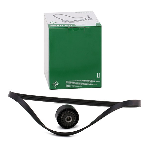 INA Jeu De Courroie Trapézoïdale à Nervures 529 0100 10 Jeu de courroies trapézoïdales à nervures RE