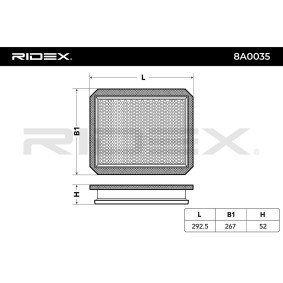 RIDEX 8A0035