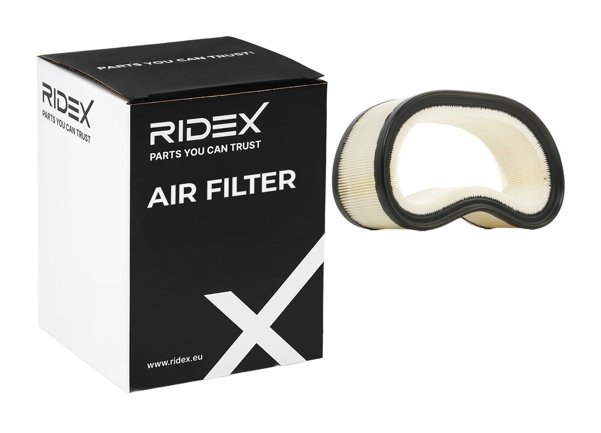 RIDEX Filtre à Air 8A0193 NISSAN,RENAULT,LEXUS,KUBISTAR Furgón X80,CLIO II BB0/1/2_, CB0/1/2_,KANGOO