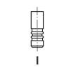 Koupit FRECCIA R6388BMCR Výfukový ventil 2020 pro FIAT PUNTO online