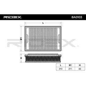 RIDEX 8A0103