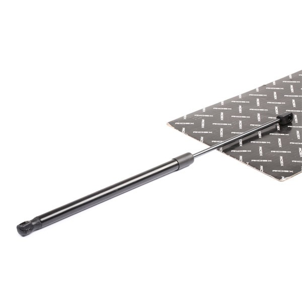 RIDEX Verin à Gaz 219G0364 Ressort à Gaz,Verin Amortisseur KIA,SORENTO I JC