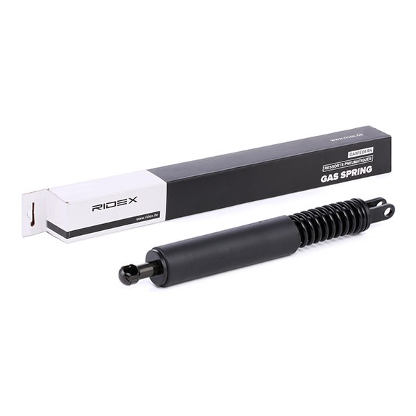 RIDEX Verin à Gaz 219G0068 Ressort à Gaz,Verin Amortisseur BMW,5 Touring E39