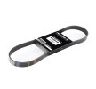 Buy PEUGEOT Alternator belt 8098403 RIDEX 305P0051 online