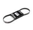 Buy 8098757 RIDEX 305P0218 Drive belt 1996 for RENAULT 9 online