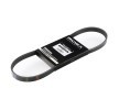 Buy 8098947 RIDEX 305P0210 Auxiliary belt 1995 for RENAULT 9 online