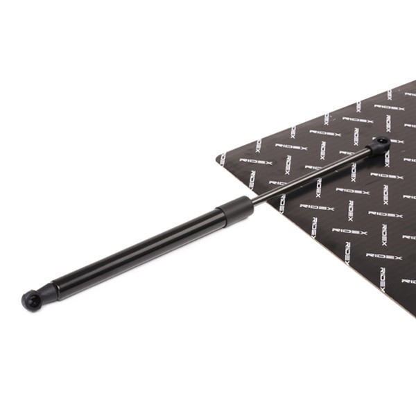 RIDEX Verin à Gaz 219G0160 Ressort à Gaz,Verin Amortisseur BMW,1 E87,1 E81