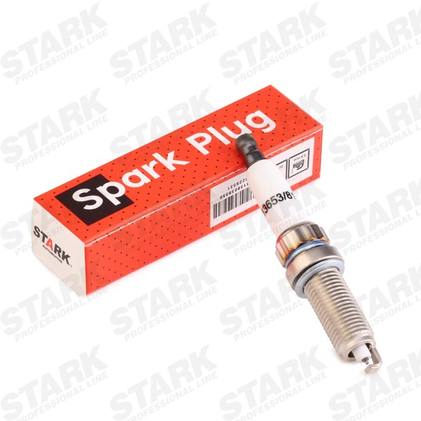 Candela motore STARK SKSP-1990041 conoscenze specialistiche