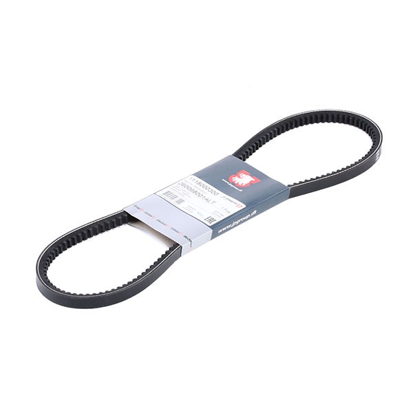 JP GROUP Courroie Trapézoïdale JP Group 1118000300 RENAULT,NISSAN,MERCEDES-BENZ,19 I B/C53_,19 II B/