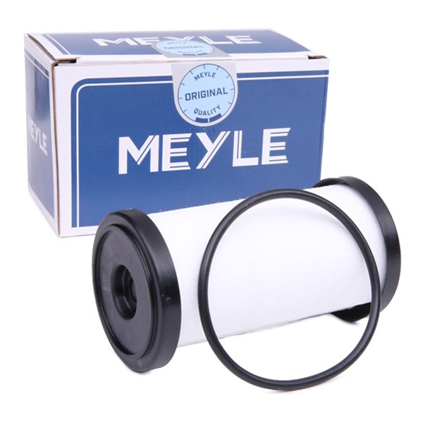 Image of MEYLE Filtro Cambio Automatico con guarnizione 100 136 0003 Filtro Olio Cambio Automatico,Filtro Olio Cambio VW,AUDI,SKODA,Golf IV Schrägheck (1J1)009