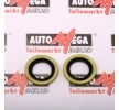 AUTOMEGA 190041510 pentru RENAULT CLIO 2011 ieftin online