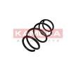 Renault Suspension spring KAMOKA 9218084