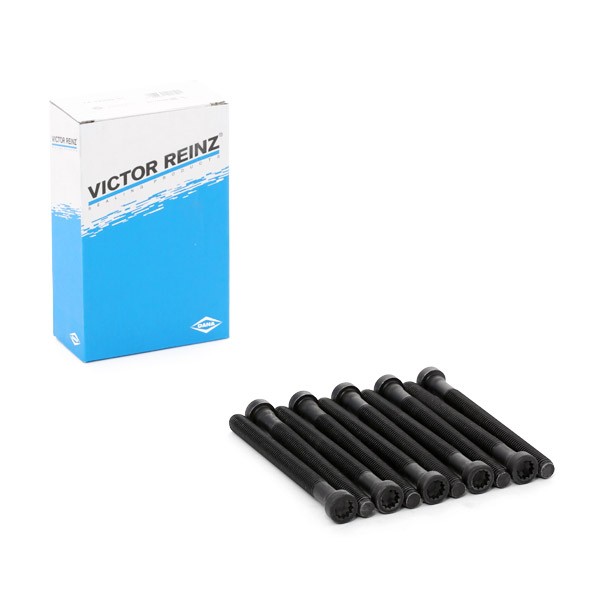 REINZ Jeu De Vis De Culasse 14-32299-01 Jeu de boulons de culasse de cylindre VW,SKODA,AUDI,TOURAN 1