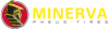 Minerva 205/60 R15 5420068696710