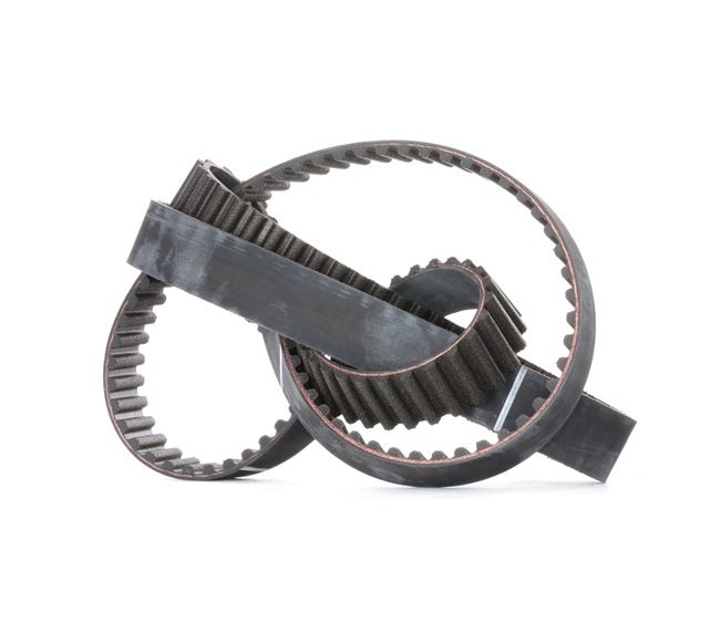 Zahnriemen Länge: 1344mm, Breite: 24mm mit OEM-Nummer 60 674 890