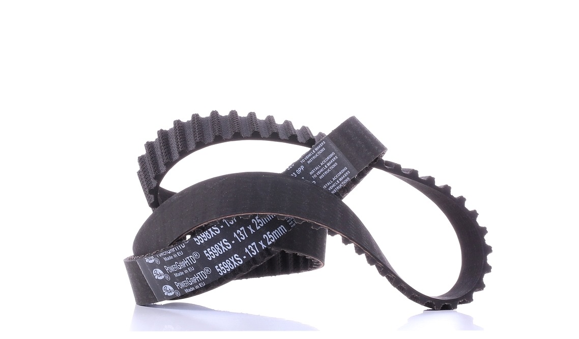 GATES Courroie De Distribution 5598XS Croix De Distribution,Courroie crantée FIAT,VOLVO,PEUGEOT,SCUD