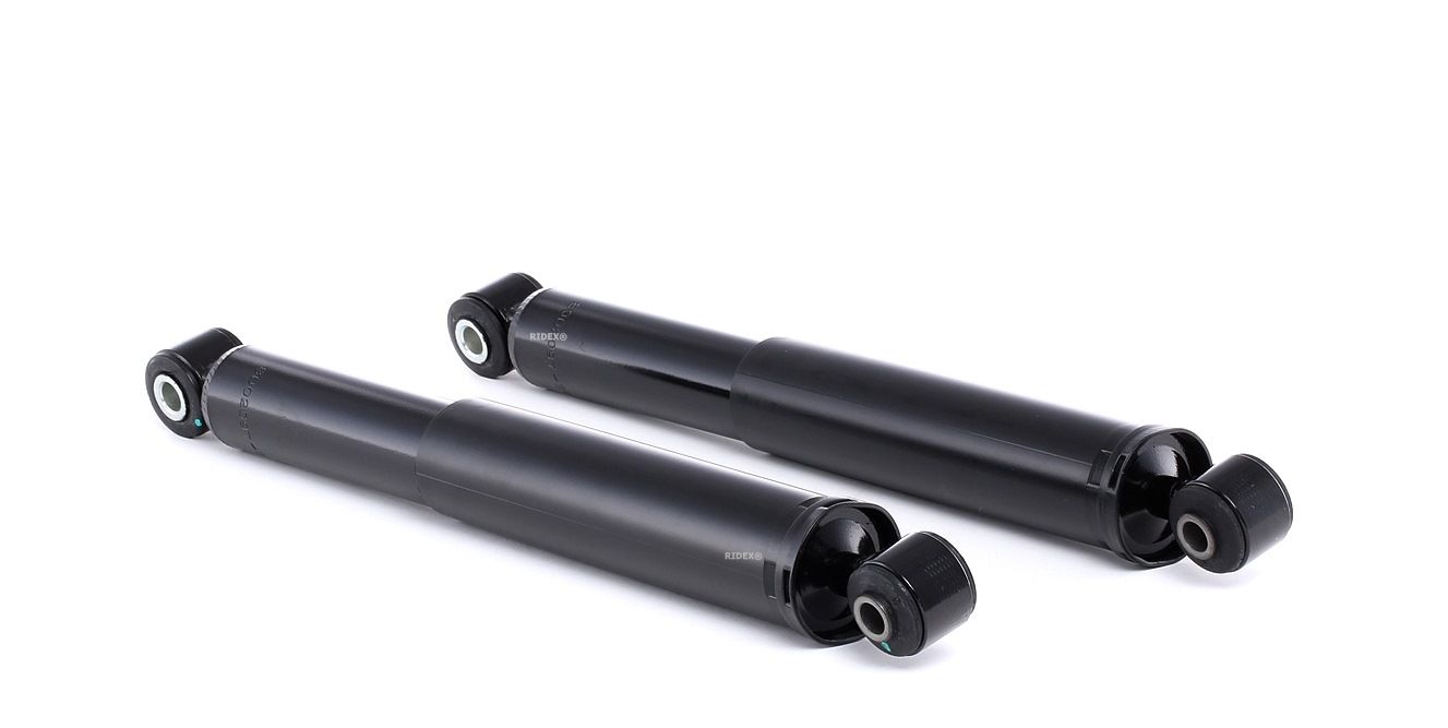 RIDEX Amortisseurs 854S1653 Amortisseur NISSAN,RENAULT,KUBISTAR Furgón X80,KANGOO KC0/1_,KANGOO Expr