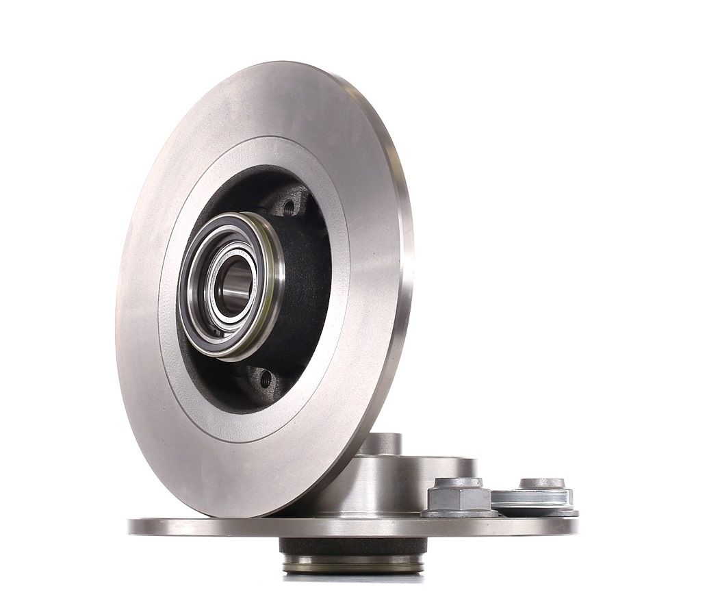 SKF Bremsscheiben VKBD 1007 Scheibenbremsen,Bremsscheibe RENAULT,SCÉNIC II JM0/1_,LAGUNA II Grandtour KG0/1_,LAGUNA II BG0/1_,GRAND SCÉNIC II JM0/1_