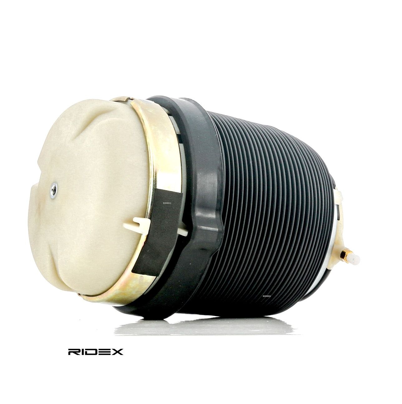 RIDEX Ressort pneumatique, châssis 4119A0025 AUDI,A6 4F2, C6,A6 Avant 4F5, C6,A6 Allroad 4FH, C6