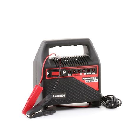 Acculader Ingangspanning: 220V 42877