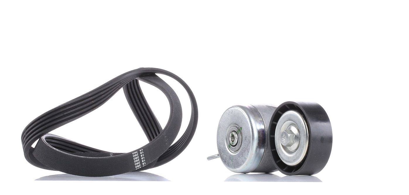 SKF Jeu De Courroie Trapézoïdale à Nervures VKMA 32040 Jeu de courroies trapézoïdales à nervures FIA