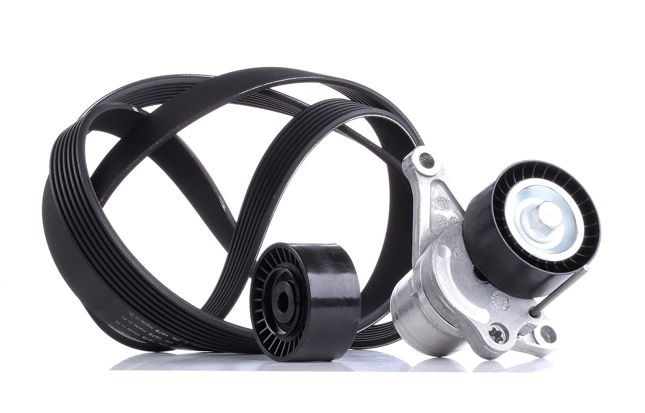 SKF Jeu De Courroie Trapézoïdale à Nervures VKMA 36086 Jeu de courroies trapézoïdales à nervures REN