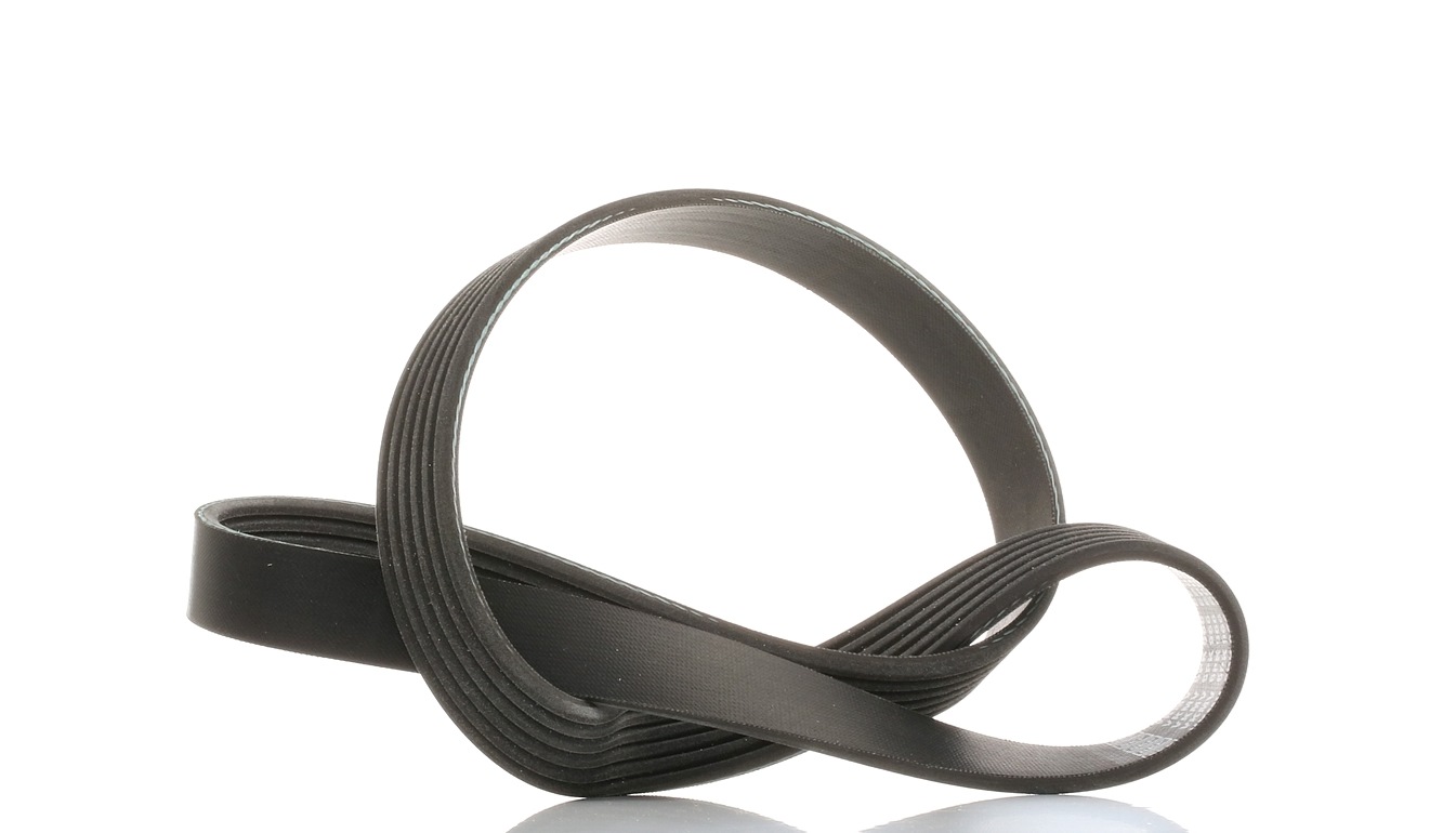 SKF Courroie Trapézoïdale à Nervures VKMV 6PK966 VOLVO,PEUGEOT,FORD,V50 MW,C30,S40 II MS,V40 Fastbac