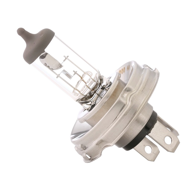 RIDEX Ampoule, projecteur longue portée 106B0011 FIAT,SAAB,DAEWOO,GRANDE PUNTO 199,PANDA 169,PUNTO 1